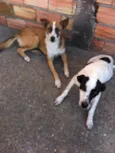 Sem nome ainda