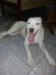 Princesa