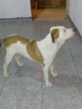 Princesa