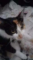 Lucy