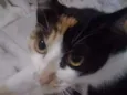 Lucy