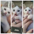 Guerreiro, Arya e John