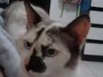 Quiara