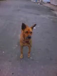 De rua