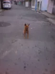 De rua