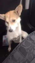 -----------