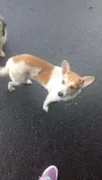 -----------