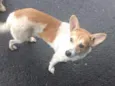 -----------