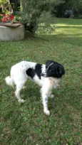 Magali