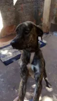 Menina