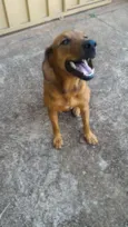 Não tem nome