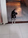 NINA