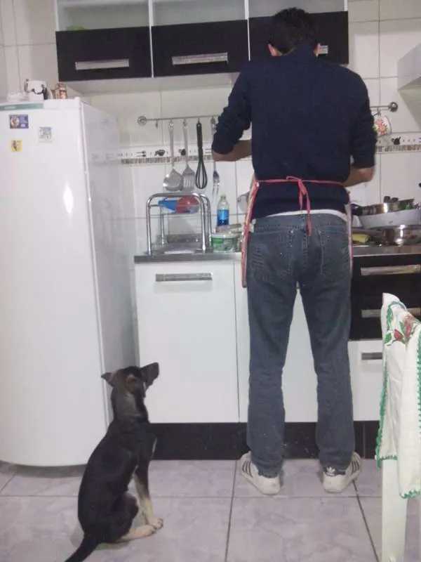 Cachorro ra a SRD idade 3 anos nome NINA