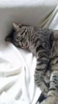 Marvin