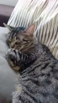 Marvin