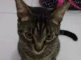 Marvin