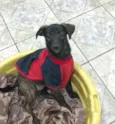 Valentina