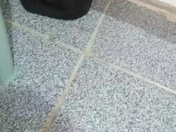Gato ra a  idade  nome Alicemorfeuthorluadylan