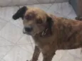 Mel e duque 