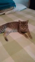 Thomas