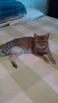 Thomas