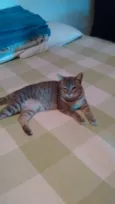 Thomas