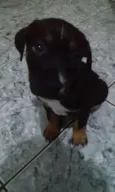Shadow