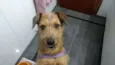 COBY!!!