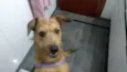 COBY!!!