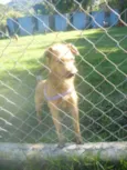 COBY!!!