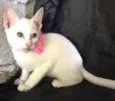 Nina
