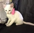 Nina