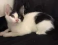 Mia