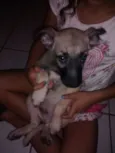 Scooby