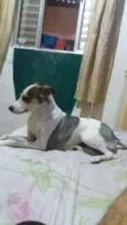 Nina 