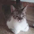 Alex