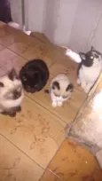 Não tem ainda