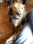 Apolo