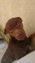 Spaik
