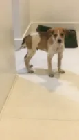 Mandela