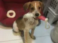 Mandela