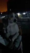 Mel