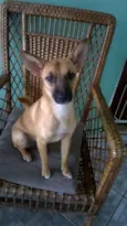 Maia