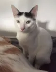 William
