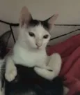 William