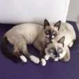 Geovana e AnaBeatriz