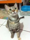 Oliver