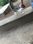 Miúda