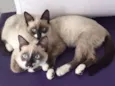 Geovana e AnaBeatriz