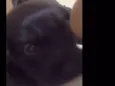 Não tem ainda